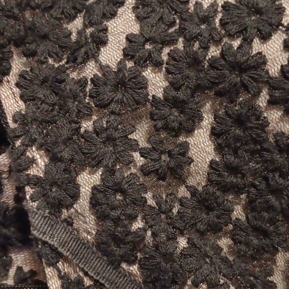 Loft Lace and Chiffon Skirt. Lace. Whimsigoth. Dressy - Picture 12 of 13